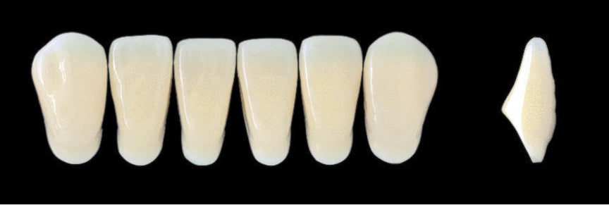 New Ace Lower Anterior - Shades C1 - C3; D2