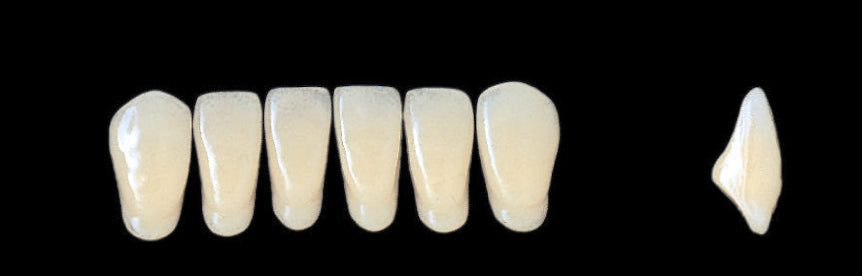 New Ace Lower Anterior - Shades A4; B1 - B3