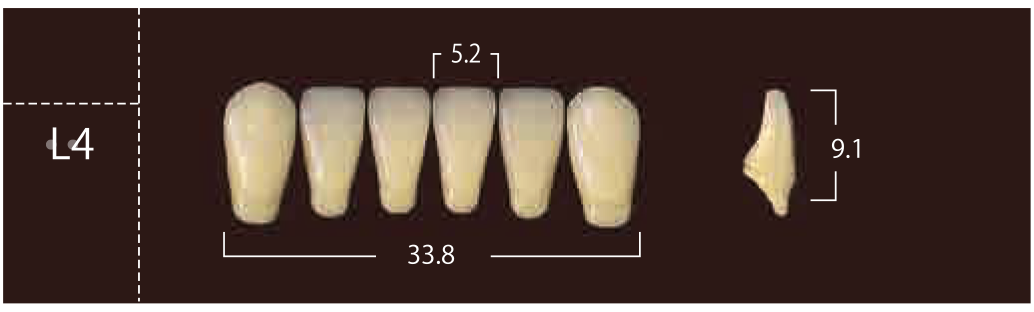 Soluut PX Anterior Lower - Shades A4; B2 - B4