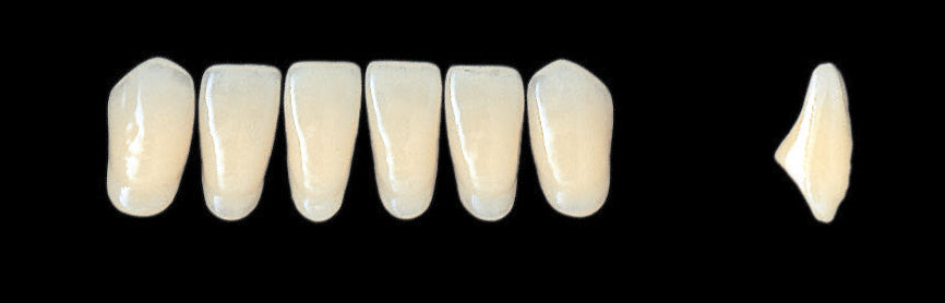New Ace Lower Anterior - Shades A1 - A3.5