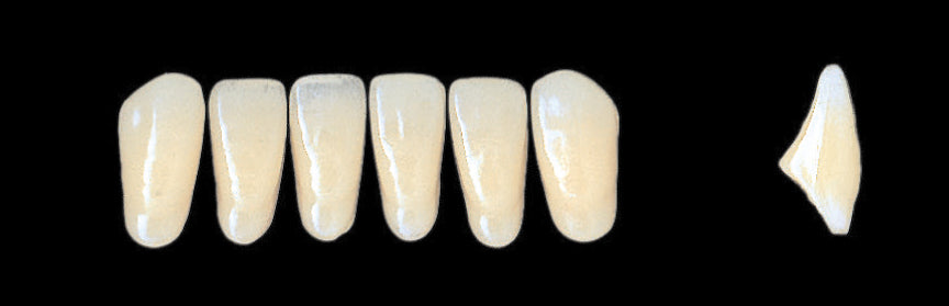 New Ace Lower Anterior - Shades C1 - C3; D2