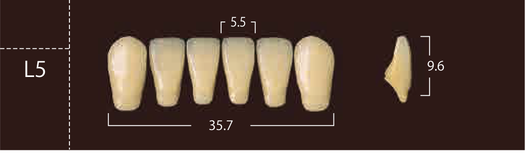 Soluut PX Anterior Lower - Shades A4; B2 - B4