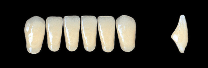 New Ace Lower Anterior - Shades C1 - C3; D2