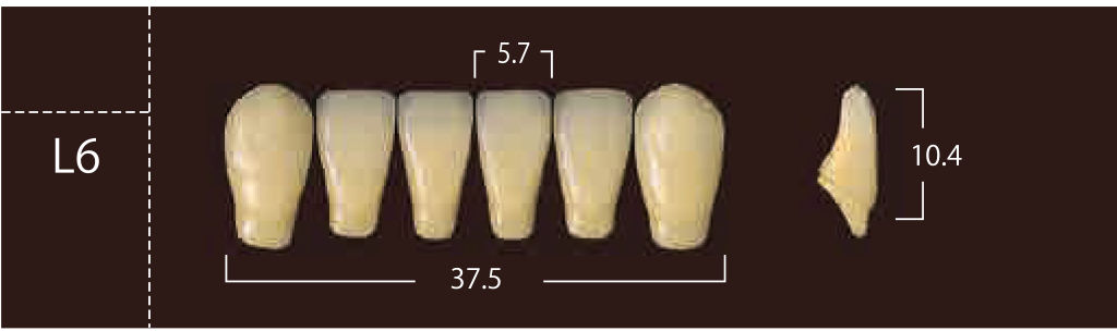 Soluut PX Anterior Lower - Shades A4; B2 - B4