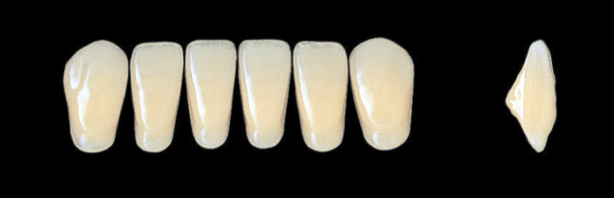 New Ace Lower Anterior - Shades C1 - C3; D2