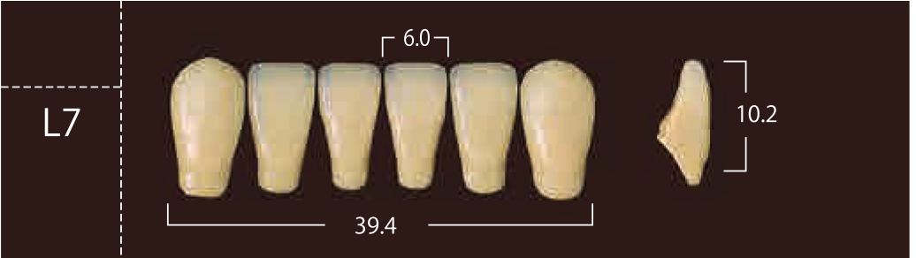 Soluut PX Anterior Lower - Shades A4; B2 - B4
