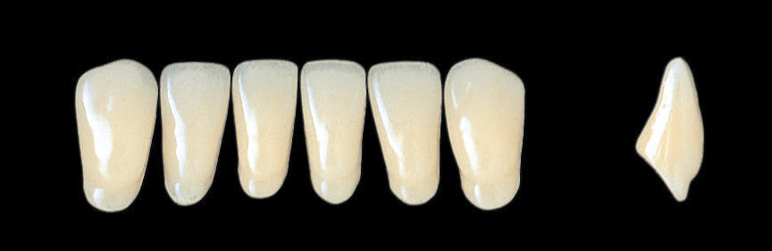 New Ace Lower Anterior - Shades C1 - C3; D2