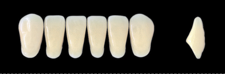 New Ace Lower Anterior - Shades C1 - C3; D2