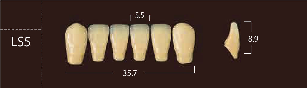 Soluut PX Anterior Lower - Shades A4; B2 - B4