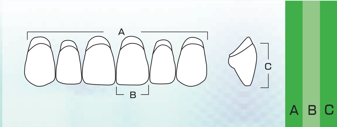 New Ace Lower Anterior - Shades A1 - A3.5