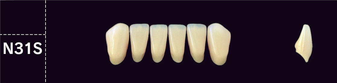 Crown PX Lower Anterior - Shades B4; C2 - C4