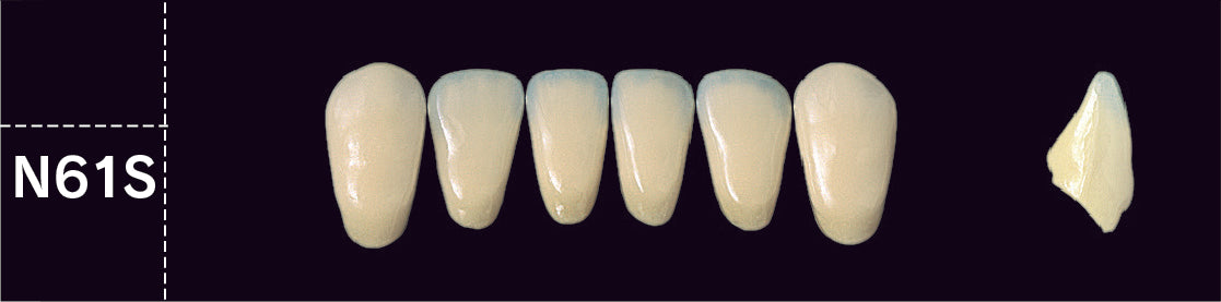 Crown PX Lower Anterior - Shades A1 - A3.5