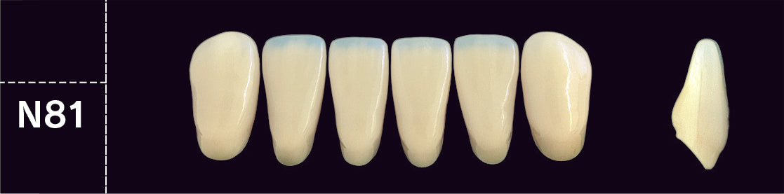 Crown PX Lower Anterior - Shades A1 - A3.5