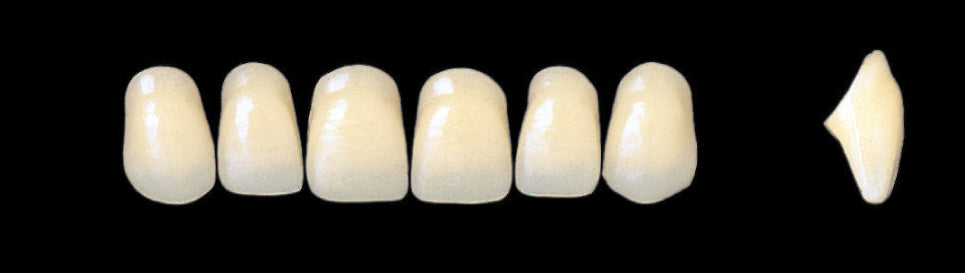 New Ace Upper Anterior - Shades A1 - A3.5