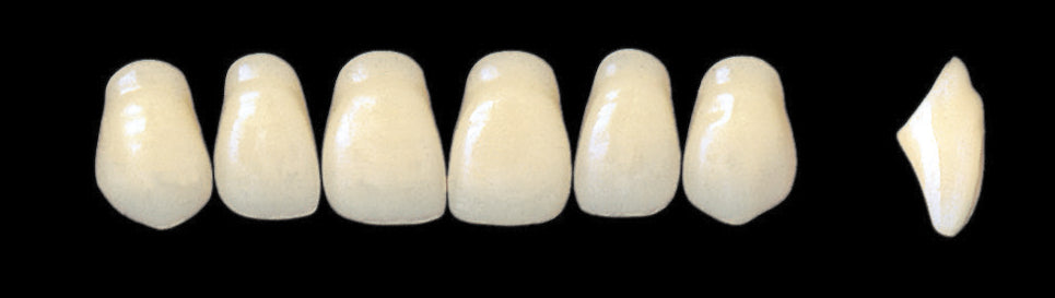 New Ace Upper Anterior - Shades A1 - A3.5