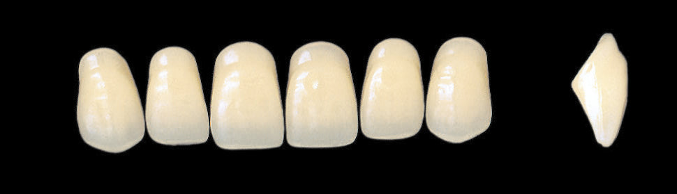 New Ace Upper Anterior - Shades A1 - A3.5
