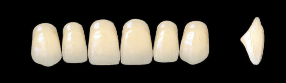New Ace Upper Anterior - Shades A1 - A3.5
