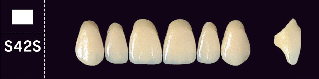 Crown PX Upper Anterior - Shades D3