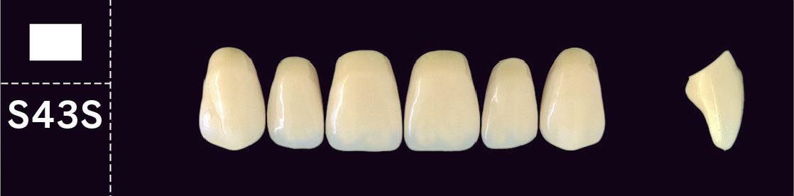 Crown PX Upper Anterior - Shades D3