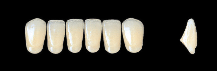 New Ace Lower Anterior - Shades C1 - C3; D2