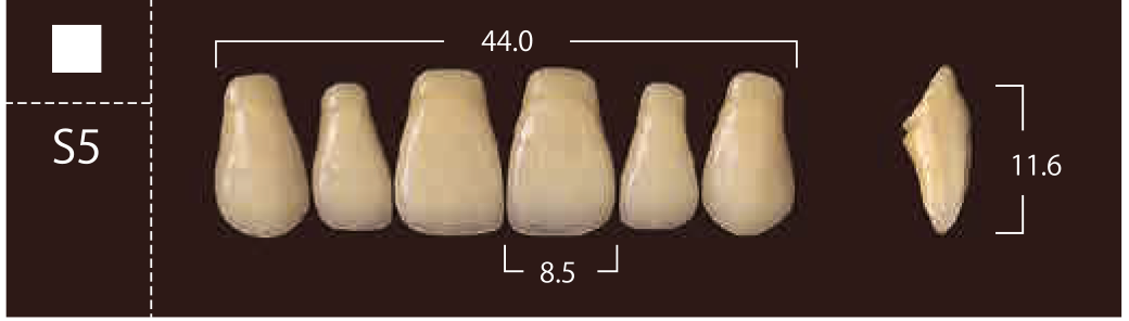 Soluut PX Anterior Upper - Shades A4; B2 - B4
