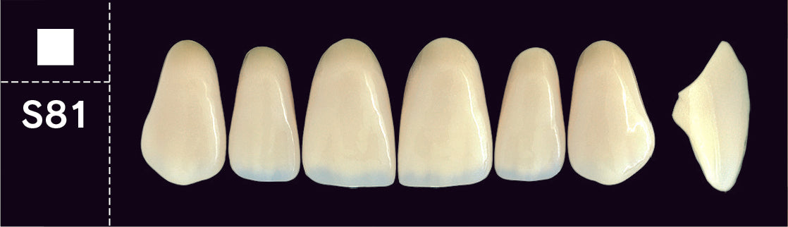 Crown PX Upper Anterior - Shades D3