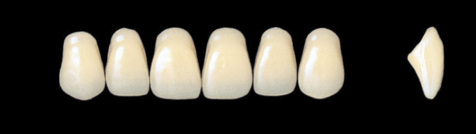 New Ace Upper Anterior - Shades A1 - A3.5