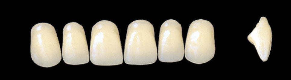 New Ace Upper Anterior - Shades A1 - A3.5