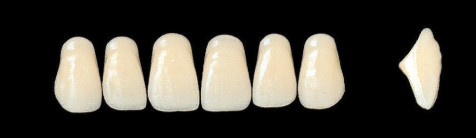 New Ace Upper Anterior - Shades A1 - A3.5