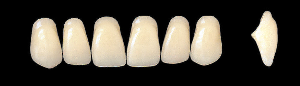 New Ace Upper Anterior - Shades A1 - A3.5