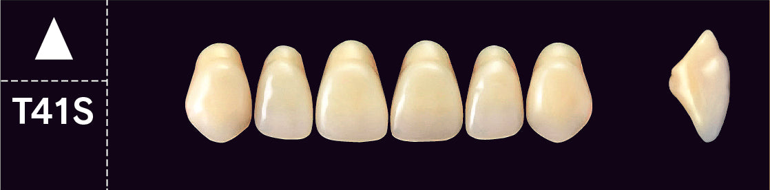 Crown PX Upper Anterior - Shades A4; B1 - B3