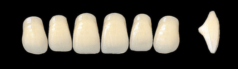 New Ace Upper Anterior - Shades A1 - A3.5