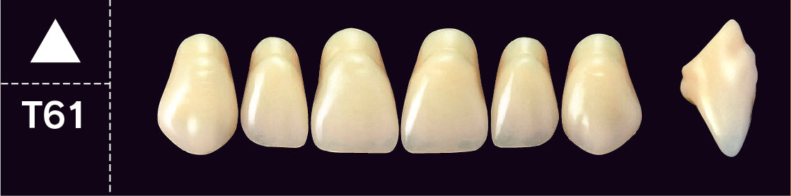 Crown PX Upper Anterior - Shades A4; B1 - B3