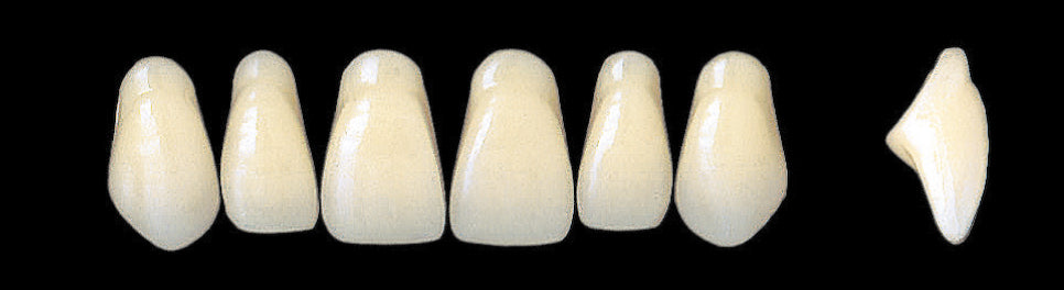New Ace Upper Anterior - Shades A1 - A3.5