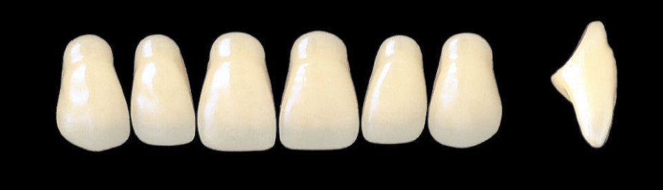 New Ace Upper Anterior - Shades A1 - A3.5