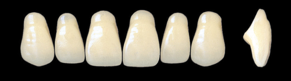 New Ace Upper Anterior - Shades A1 - A3.5