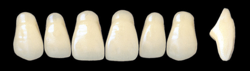 New Ace Upper Anterior - Shades A1 - A3.5